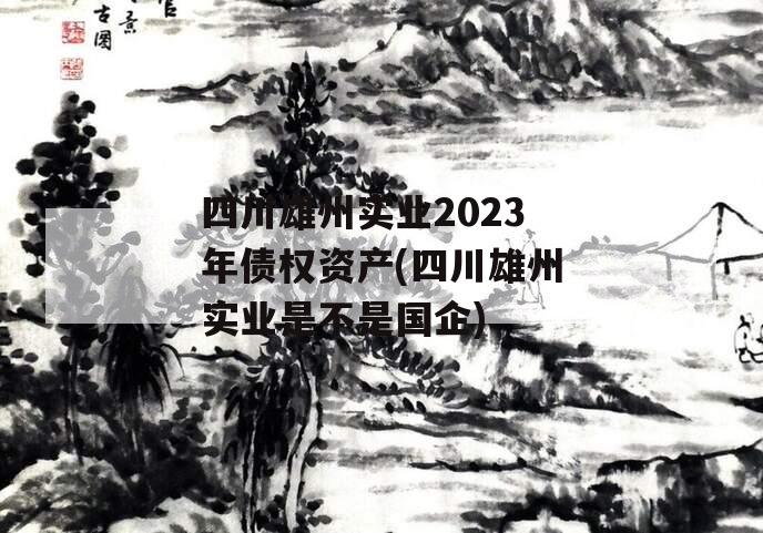 四川雄州实业2023年债权资产(四川雄州实业是不是国企)