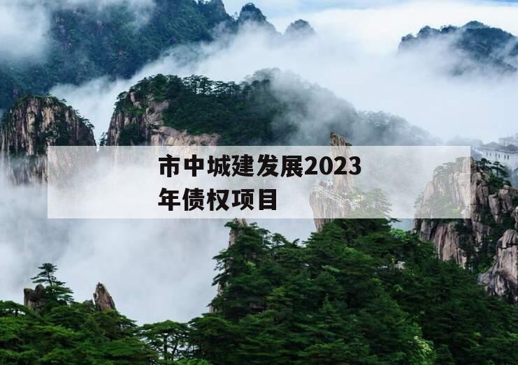 市中城建发展2023年债权项目