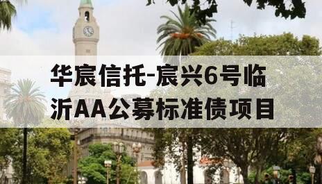 华宸信托-宸兴6号临沂AA公募标准债项目