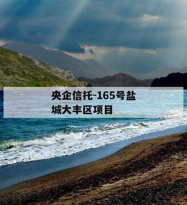 央企信托-165号盐城大丰区项目