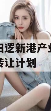 武汉阳逻新港产业投资债权转让计划