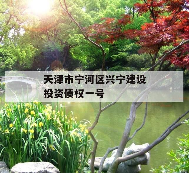天津市宁河区兴宁建设投资债权一号