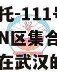 央企信托-111号·武汉汉N区集合信托（注册地在武汉的信托）