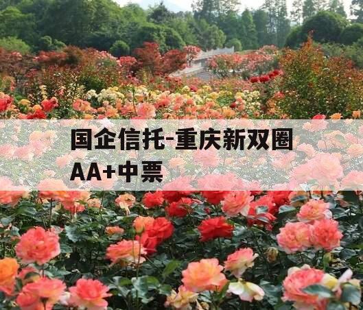 国企信托-重庆新双圈AA+中票