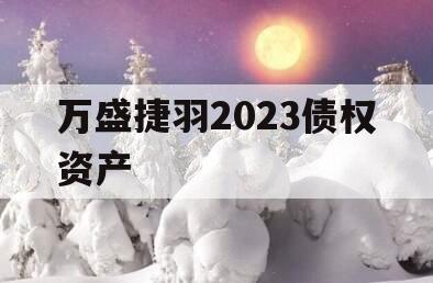 万盛捷羽2023债权资产