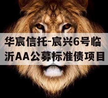 华宸信托-宸兴6号临沂AA公募标准债项目