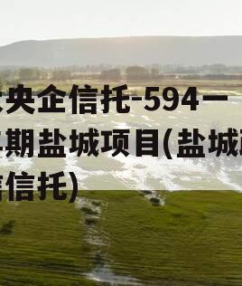 大央企信托-594一年期盐城项目(盐城政信信托)