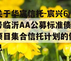 关于华宸信托-宸兴6号临沂AA公募标准债项目集合信托计划的信息