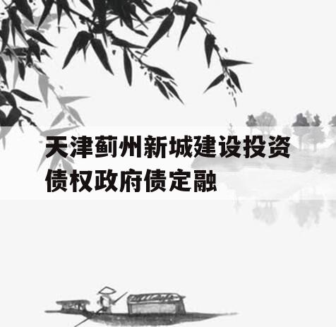 天津蓟州新城建设投资债权政府债定融
