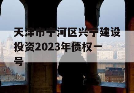 天津市宁河区兴宁建设投资2023年债权一号