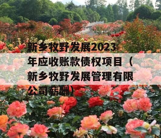 新乡牧野发展2023年应收账款债权项目（新乡牧野发展管理有限公司薪酬）