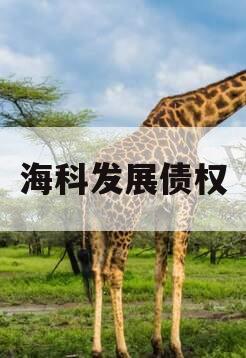 海科发展债权