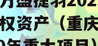 重庆万盛捷羽2023年债权资产（重庆万盛2020年重大项目）