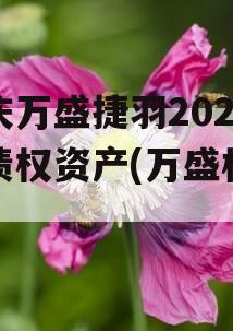 重庆万盛捷羽2023年债权资产(万盛机械)