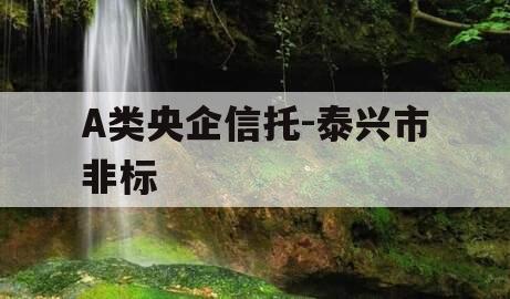 A类央企信托-泰兴市非标 A类央企信托-泰兴市非标