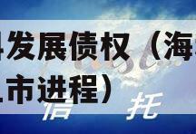 海科发展债权（海科集团上市进程）