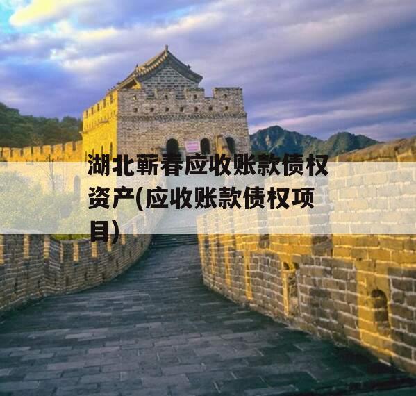 湖北蕲春应收账款债权资产(应收账款债权项目)