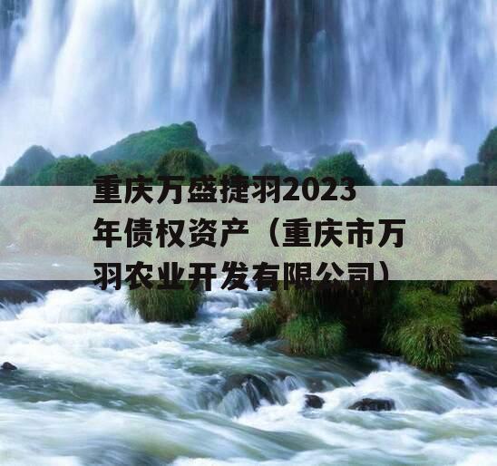 重庆万盛捷羽2023年债权资产（重庆市万羽农业开发有限公司）