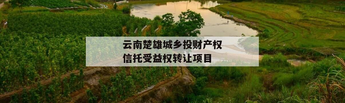 云南楚雄城乡投财产权信托受益权转让项目