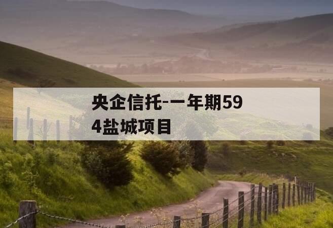 央企信托-一年期594盐城项目