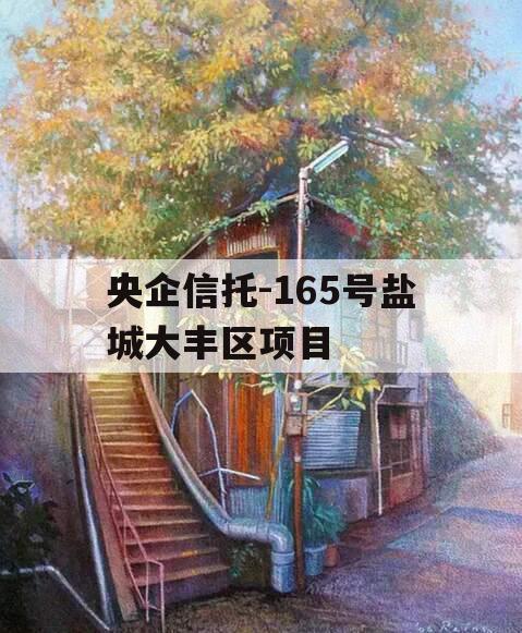央企信托-165号盐城大丰区项目
