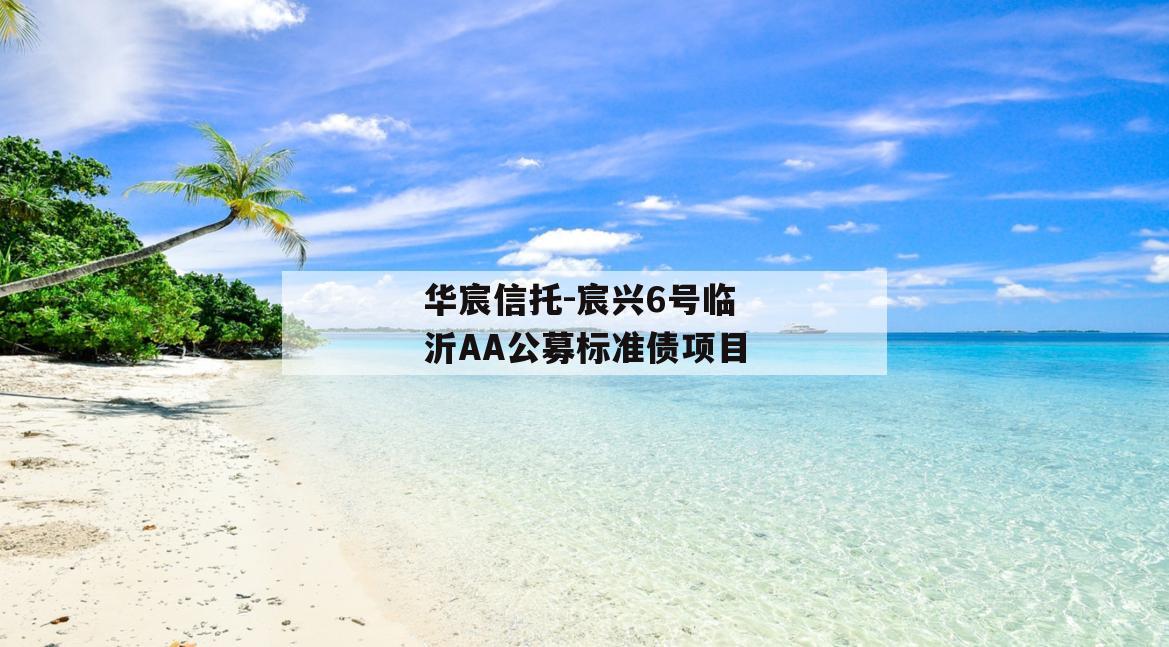 华宸信托-宸兴6号临沂AA公募标准债项目