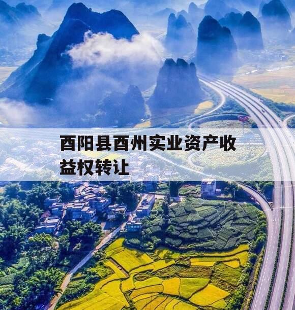 酉阳县酉州实业资产收益权转让