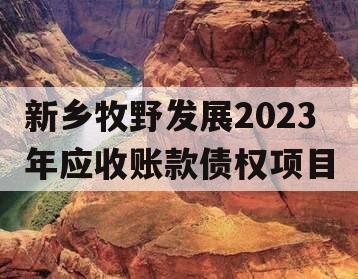 新乡牧野发展2023年应收账款债权项目