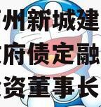 天津蓟州新城建设投资债权政府债定融（蓟州新城投资董事长）