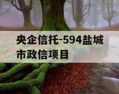 央企信托-594盐城市政信项目