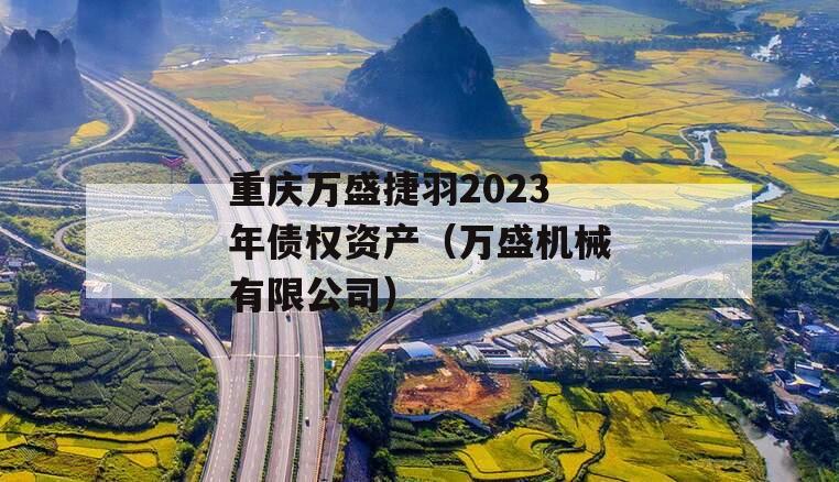 重庆万盛捷羽2023年债权资产（万盛机械有限公司）