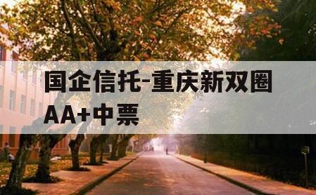 国企信托-重庆新双圈AA+中票