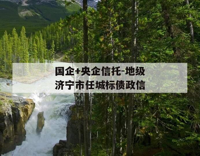 国企+央企信托-地级济宁市任城标债政信