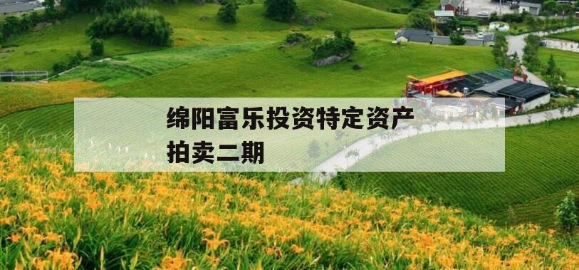 绵阳富乐投资特定资产拍卖二期