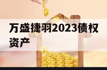 万盛捷羽2023债权资产