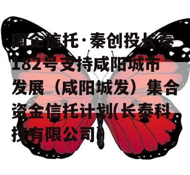 国企信托·秦创投长泰182号支持咸阳城市发展（咸阳城发）集合资金信托计划(长泰科技有限公司)