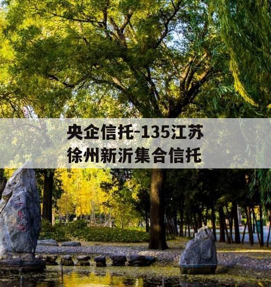 央企信托-135江苏徐州新沂集合信托