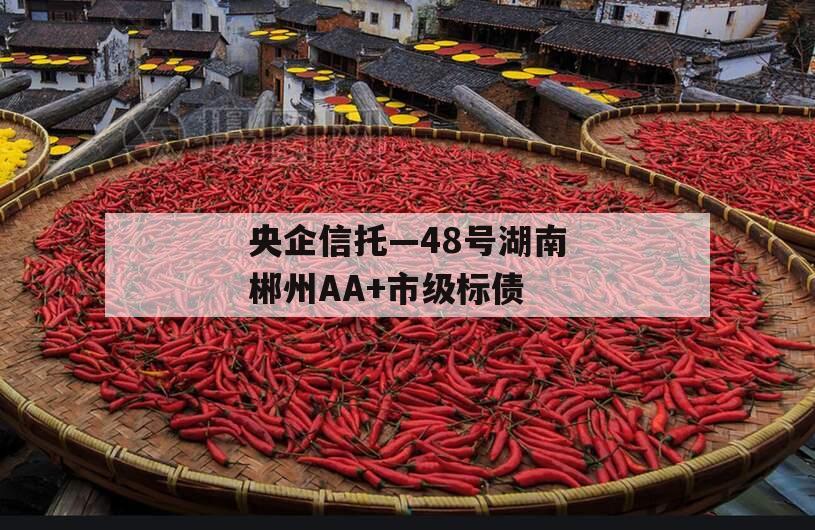 央企信托—48号湖南郴州AA+市级标债