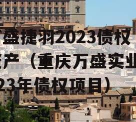 万盛捷羽2023债权资产（重庆万盛实业2023年债权项目）