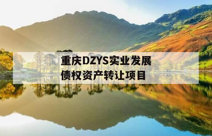 重庆DZYS实业发展债权资产转让项目