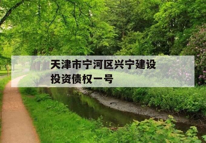天津市宁河区兴宁建设投资债权一号