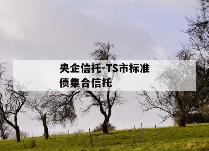 央企信托-TS市标准债集合信托