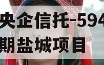 大央企信托-594一年期盐城项目