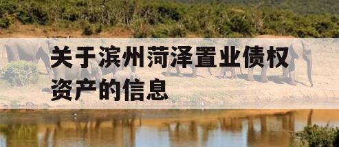 关于滨州菏泽置业债权资产的信息