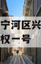 天津市宁河区兴宁建设投资债权一号