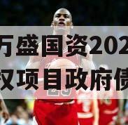 重庆万盛国资2023年债权项目政府债定融