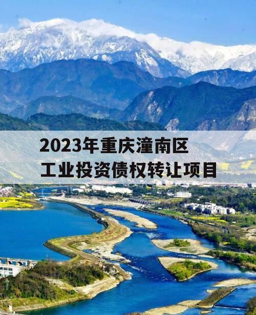2023年重庆潼南区工业投资债权转让项目