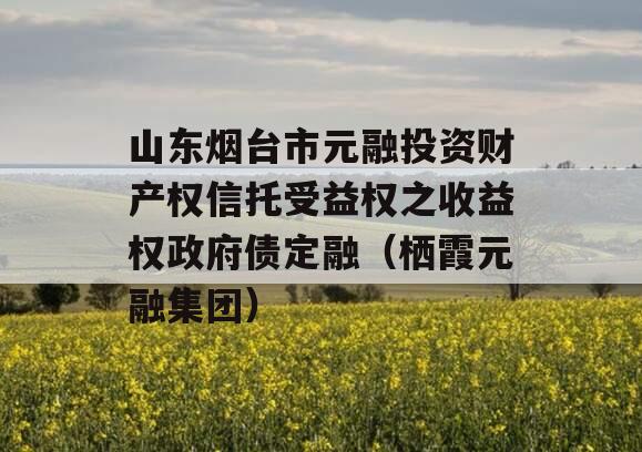 山东烟台市元融投资财产权信托受益权之收益权政府债定融（栖霞元融集团）