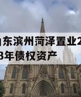 山东滨州菏泽置业2023年债权资产