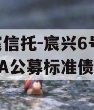 华宸信托-宸兴6号临沂AA公募标准债项目
